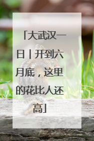 大武汉一日︱开到六月底，这里的花比人还高