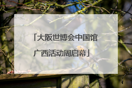 大阪世博会中国馆广西活动周启幕