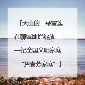 天山的一朵雪莲在聊城灿烂绽放——记全国文明家庭“詹春芳家庭”