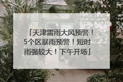 天津雷雨大风预警！5个区暴雨预警！短时雨强较大！下午开场
