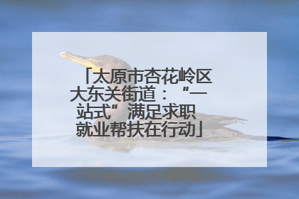 太原市杏花岭区大东关街道：“一站式”满足求职 就业帮扶在行动