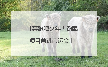 奔跑吧少年！跑酷项目首进市运会