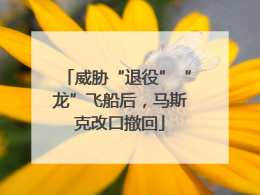 威胁“退役”“龙”飞船后，马斯克改口撤回