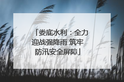 娄底水利：全力迎战强降雨 筑牢防汛安全屏障