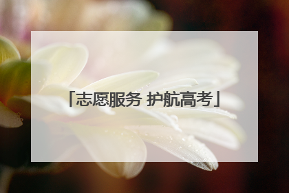 志愿服务 护航高考