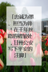 忠诚为墨、担当为锋！在千年丝路的褶皱处，甘州公安写下平安的注脚