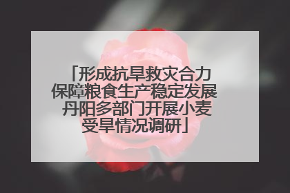 形成抗旱救灾合力 保障粮食生产稳定发展 丹阳多部门开展小麦受旱情况调研
