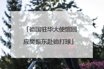 德国驻华大使馆回应樊振东赴德打球