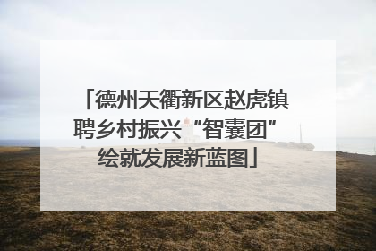 德州天衢新区赵虎镇聘乡村振兴“智囊团” 绘就发展新蓝图