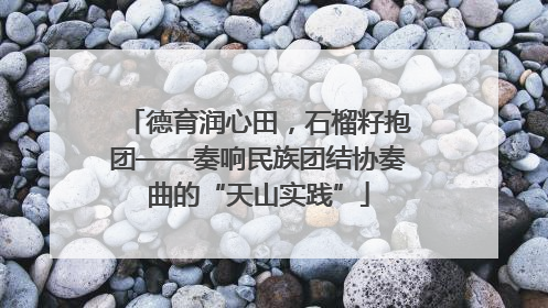 德育润心田，石榴籽抱团——奏响民族团结协奏曲的“天山实践”