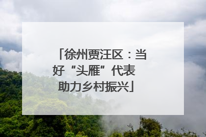 徐州贾汪区：当好“头雁”代表 助力乡村振兴