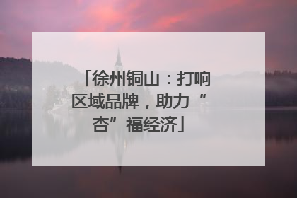 徐州铜山：打响区域品牌，助力“杏”福经济