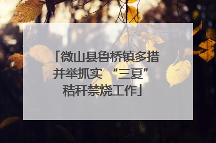 微山县鲁桥镇多措并举抓实 “三夏” 秸秆禁烧工作