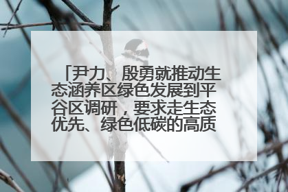 尹力、殷勇就推动生态涵养区绿色发展到平谷区调研，要求走生态优先、绿色低碳的高质量发展之路