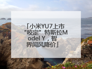 小米YU7上市“咬定”特斯拉Model Y，智界闻风降价