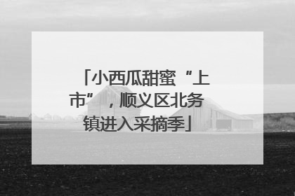 小西瓜甜蜜“上市”，顺义区北务镇进入采摘季