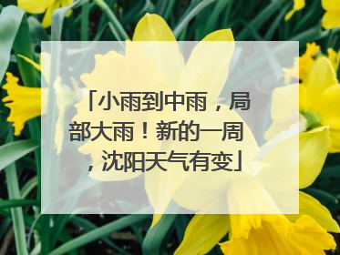小雨到中雨，局部大雨！新的一周，沈阳天气有变