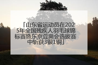 山东省运动员在2025年全国残疾人羽毛球锦标赛暨东京聋奥会选拔赛中斩获3银1铜