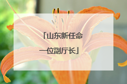 山东新任命一位副厅长