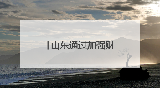 山东通过加强财政金融的协同联动 为民营经济发展加力赋能