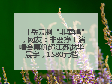 岳云鹏“非要唱”，网友：非要挣！演唱会票价超汪苏泷华晨宇，1580元档20秒抢空