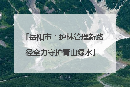 岳阳市：护林管理新路径全力守护青山绿水