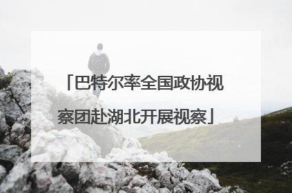 巴特尔率全国政协视察团赴湖北开展视察