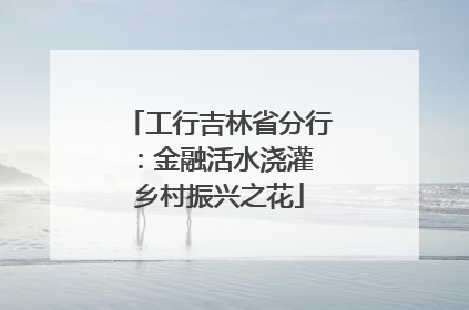 工行吉林省分行：金融活水浇灌 乡村振兴之花