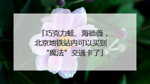 巧克力蛙、海德薇，北京地铁站内可以买到“魔法”交通卡了