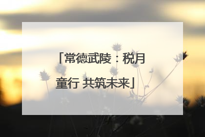 常德武陵：税月童行 共筑未来