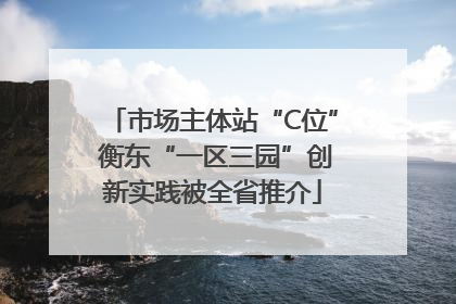 市场主体站“C位” 衡东“一区三园”创新实践被全省推介