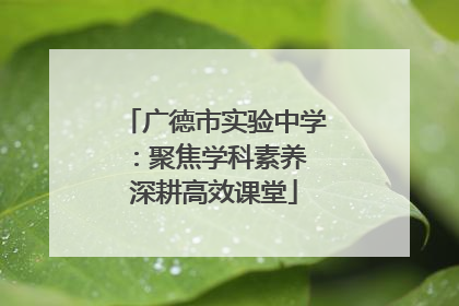广德市实验中学：聚焦学科素养 深耕高效课堂
