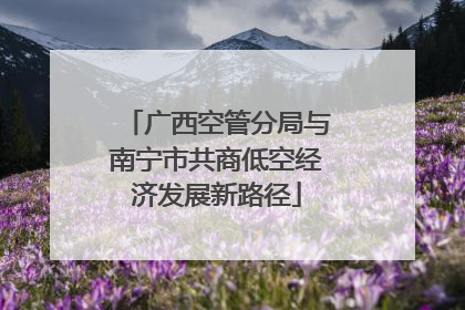 广西空管分局与南宁市共商低空经济发展新路径