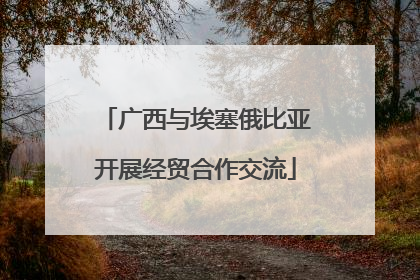 广西与埃塞俄比亚开展经贸合作交流