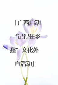 广西启动“记得住乡愁”文化外宣活动