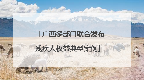广西多部门联合发布残疾人权益典型案例