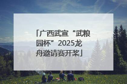 广西武宣“武粮园杯”2025龙舟邀请赛开桨