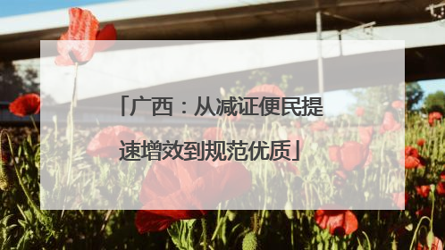广西：从减证便民提速增效到规范优质