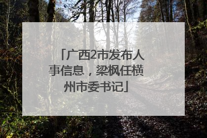 广西2市发布人事信息，梁枫任横州市委书记