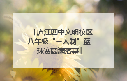 庐江四中文明校区八年级“三人制”篮球赛圆满落幕