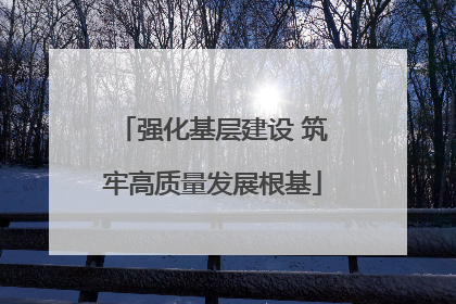 强化基层建设 筑牢高质量发展根基