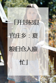 开封杞县官庄乡：夏粮归仓入廪忙