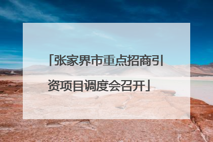 张家界市重点招商引资项目调度会召开