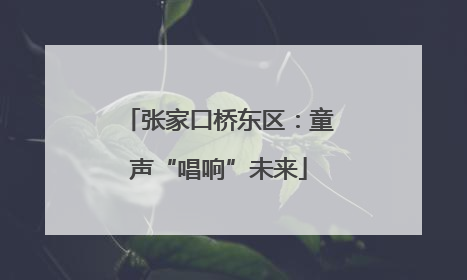 张家口桥东区：童声“唱响”未来