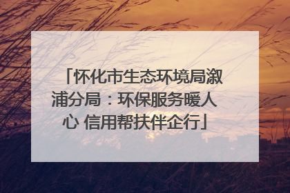 怀化市生态环境局溆浦分局：环保服务暖人心 信用帮扶伴企行