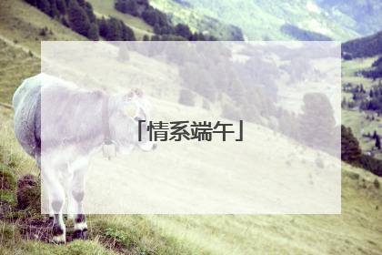 情系端午