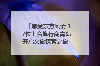 感受东方风情 17位上合旅行商青岛开启文旅探索之旅