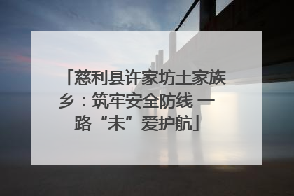 慈利县许家坊土家族乡：筑牢安全防线 一路“未”爱护航