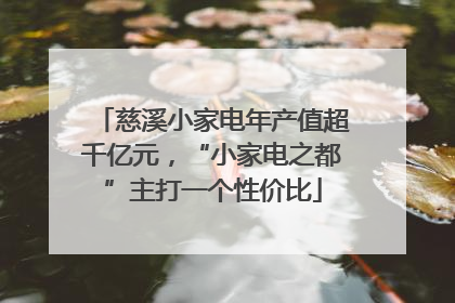 慈溪小家电年产值超千亿元，“小家电之都”主打一个性价比
