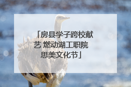 房县学子跨校献艺 燃动湖工职院思美文化节
